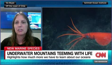 Unveiling The World's Dimmest: Discoveries In Animal Intelligence